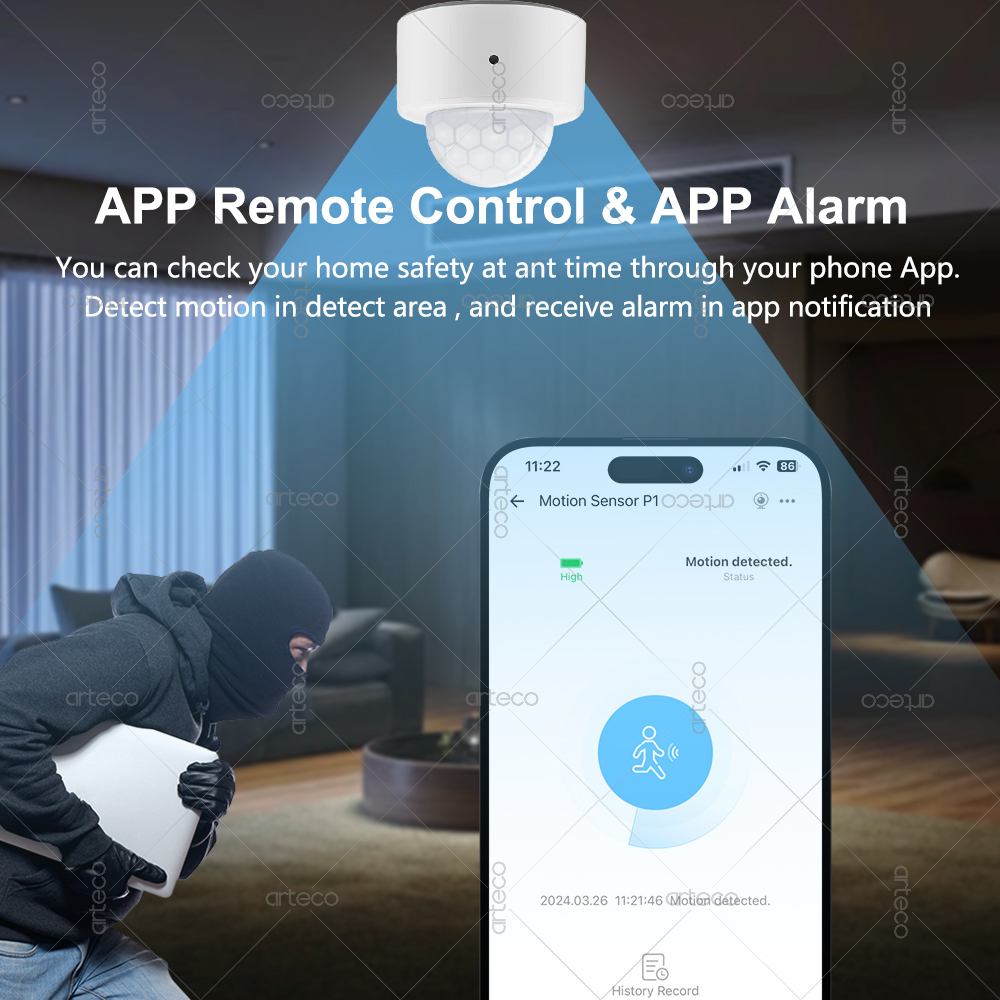 Ewelink Zigbee PIR Sensor Gera - Smart Home Ir ulasan dan harga