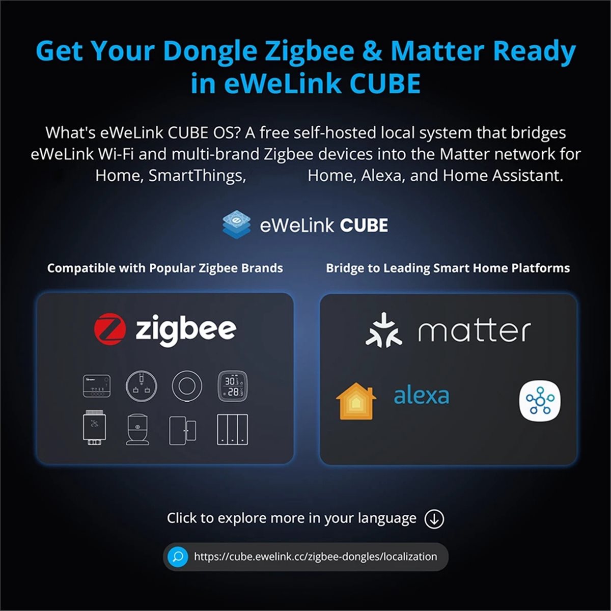 Dongle Plus MG24 Zigbee Thread - Smart Home Plus ulasan dan harga